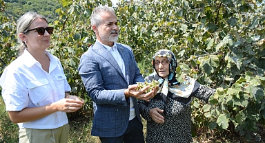 Kılıç: Fındık Fiyatı En Az 250 TL Olmalı