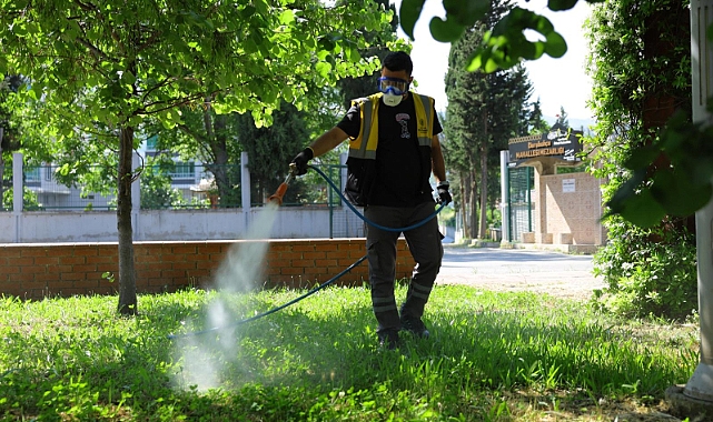 Büyükşehir Vektörlerle Mücadele Başlattı